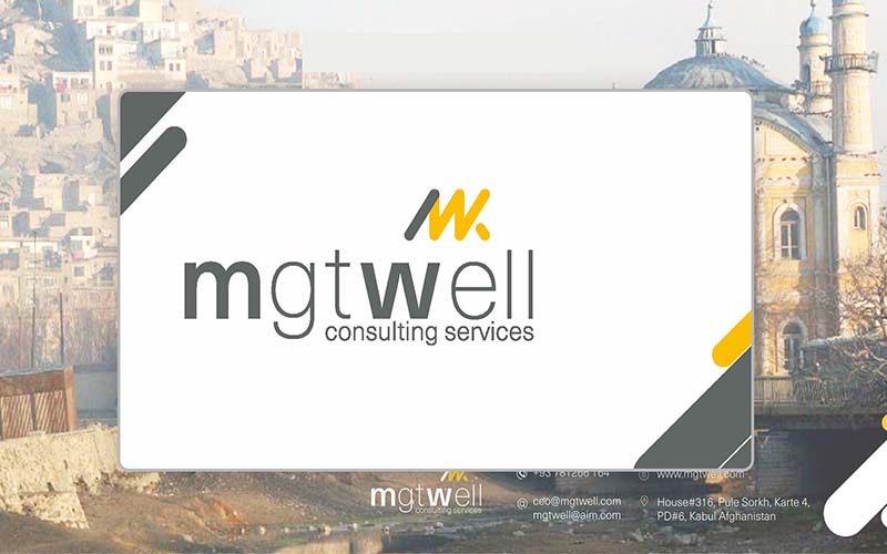 MgtWell Consulting Services